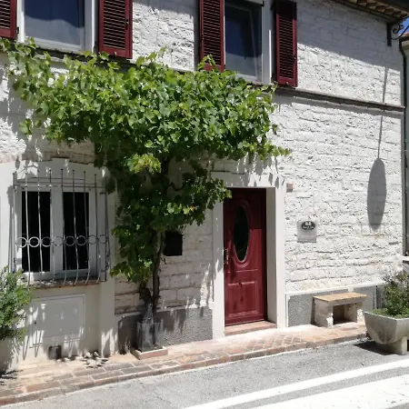 B&B Capo Le Vigne-2