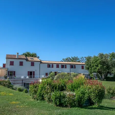 Agromarino-2