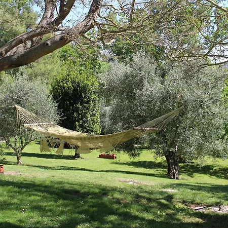 Campo Del Mare-2